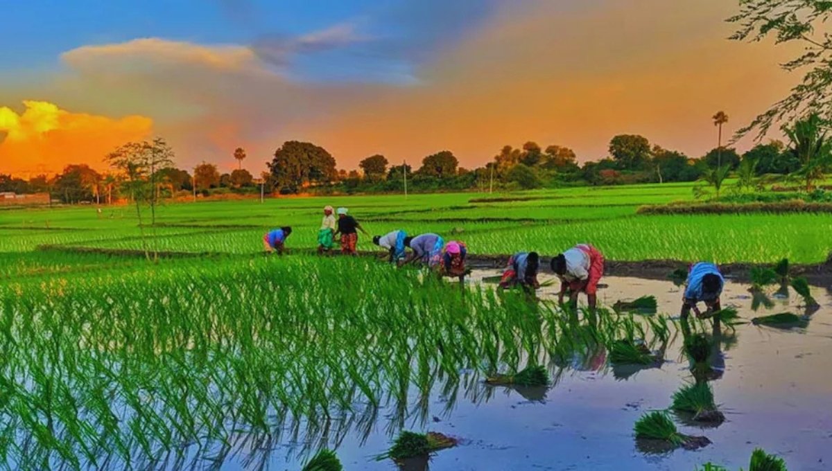 Bihar Krishi Input Anudan Yojana 2025: 14 जिलों के किसानों को बड़ी राहत, ऑनलाइन आवेदन शुरू