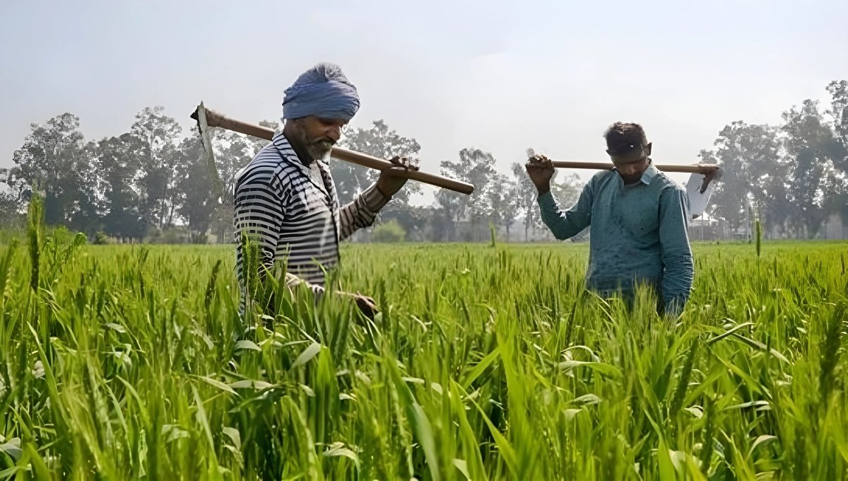 PM Kisan 21st Installment Date: दिसंबर में आ रही है 21वीं किस्त, देखें पूरी जानकारी
