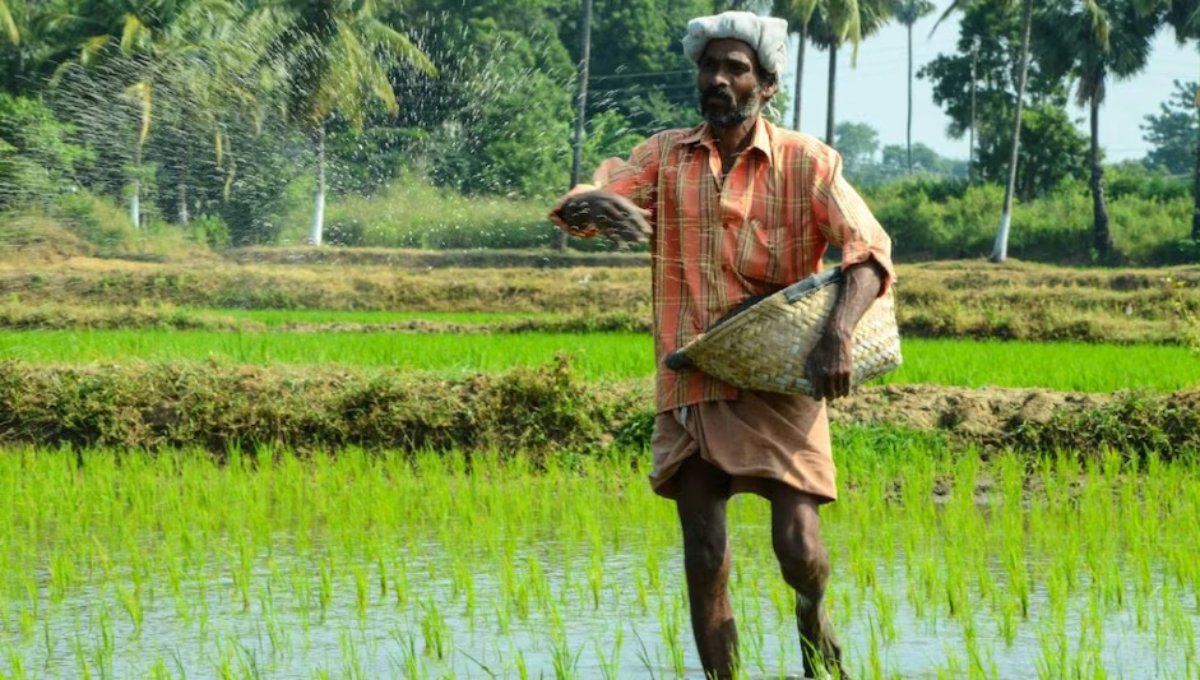 Bihar Krishi Input Anudan Yojana 2025: 14 जिलों के किसानों को बड़ी राहत, ऑनलाइन आवेदन शुरू