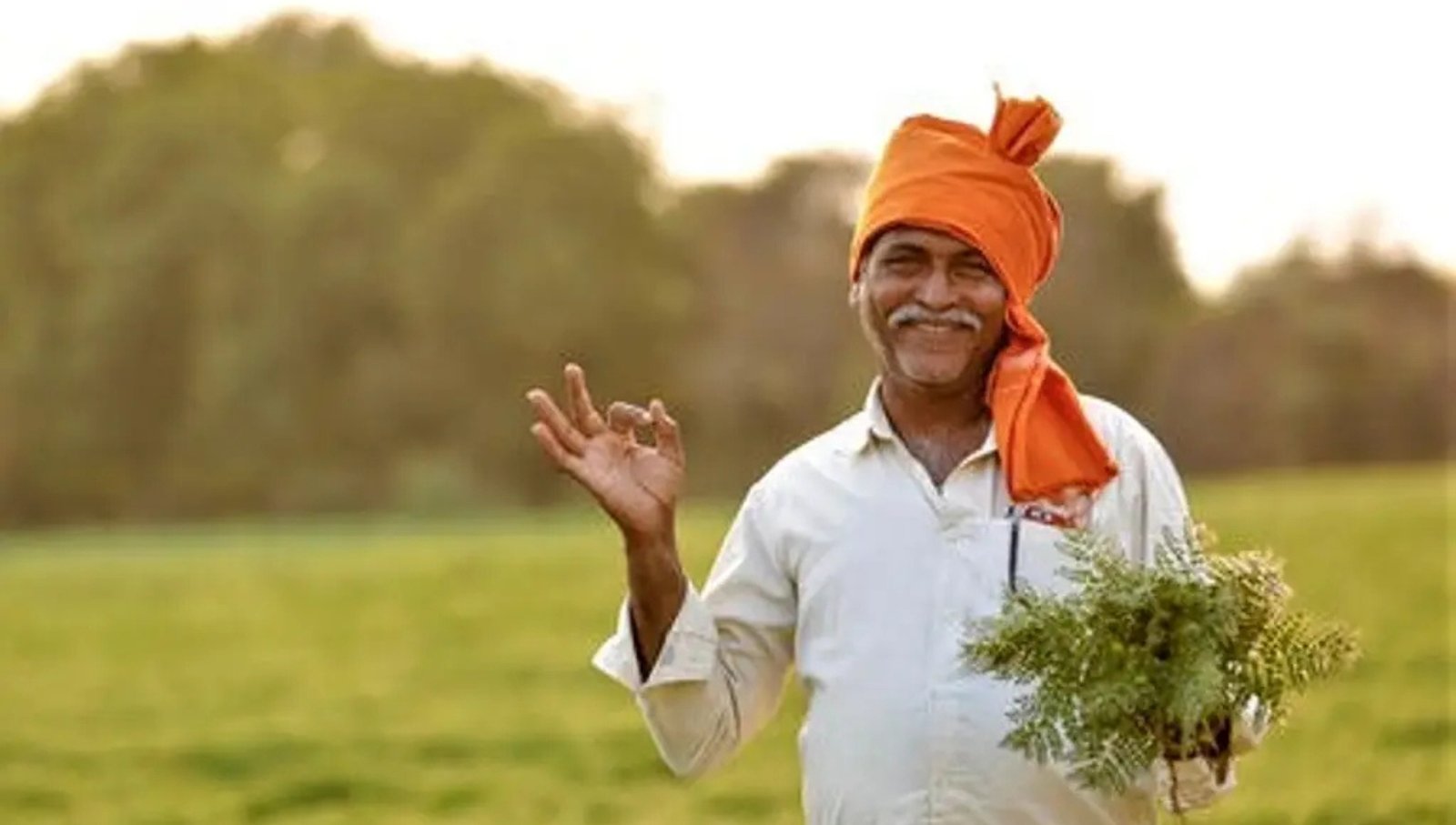 PM Kisan Yojana Update: क्या दिवाली से पहले खाते में आएंगे ₹2000 जानिए ताज़ा जानकारी