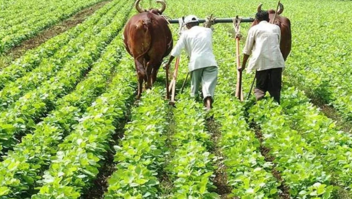 PM Dhan Dhanya Scheme: किसानों के लिए केंद्र सरकार की बड़ी सौगात
