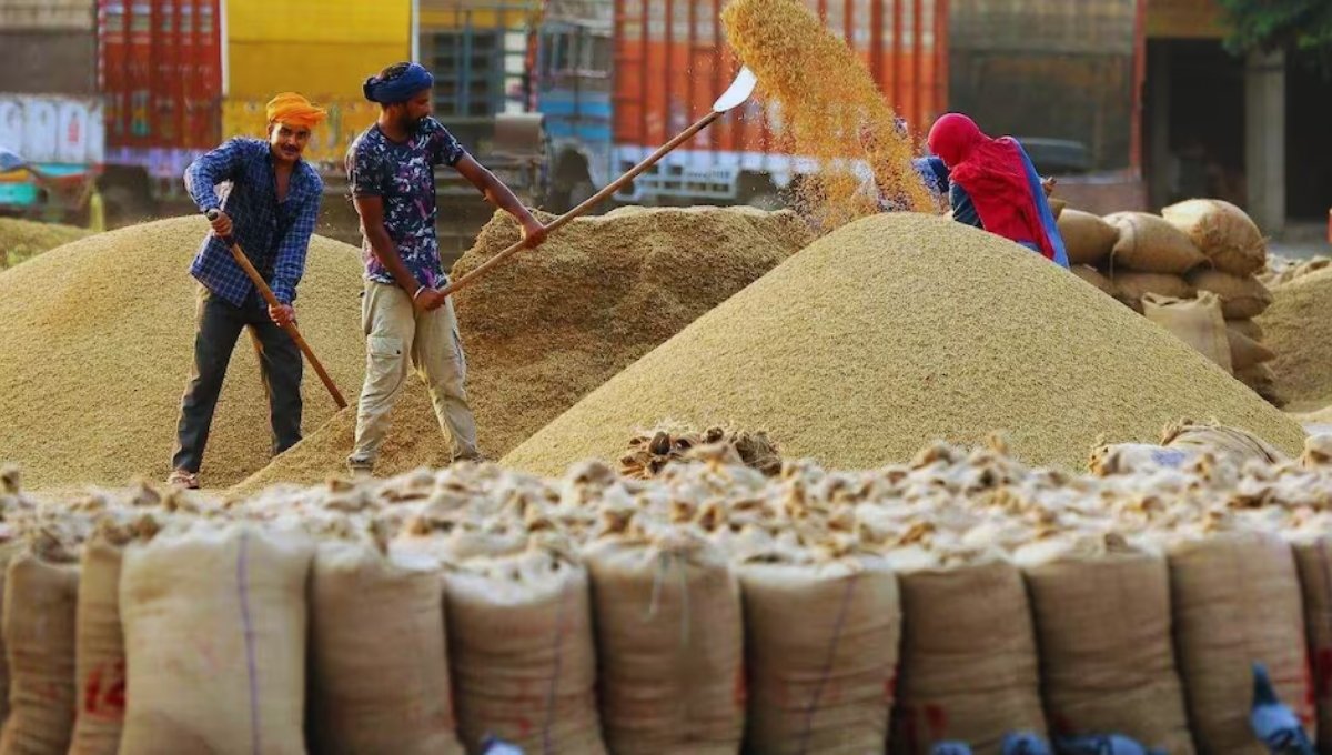 12 अक्टूबर Mandi Price अपडेट गेहूं ₹2620, धान ₹2500, नींबू ₹4500 क्विंटल तक