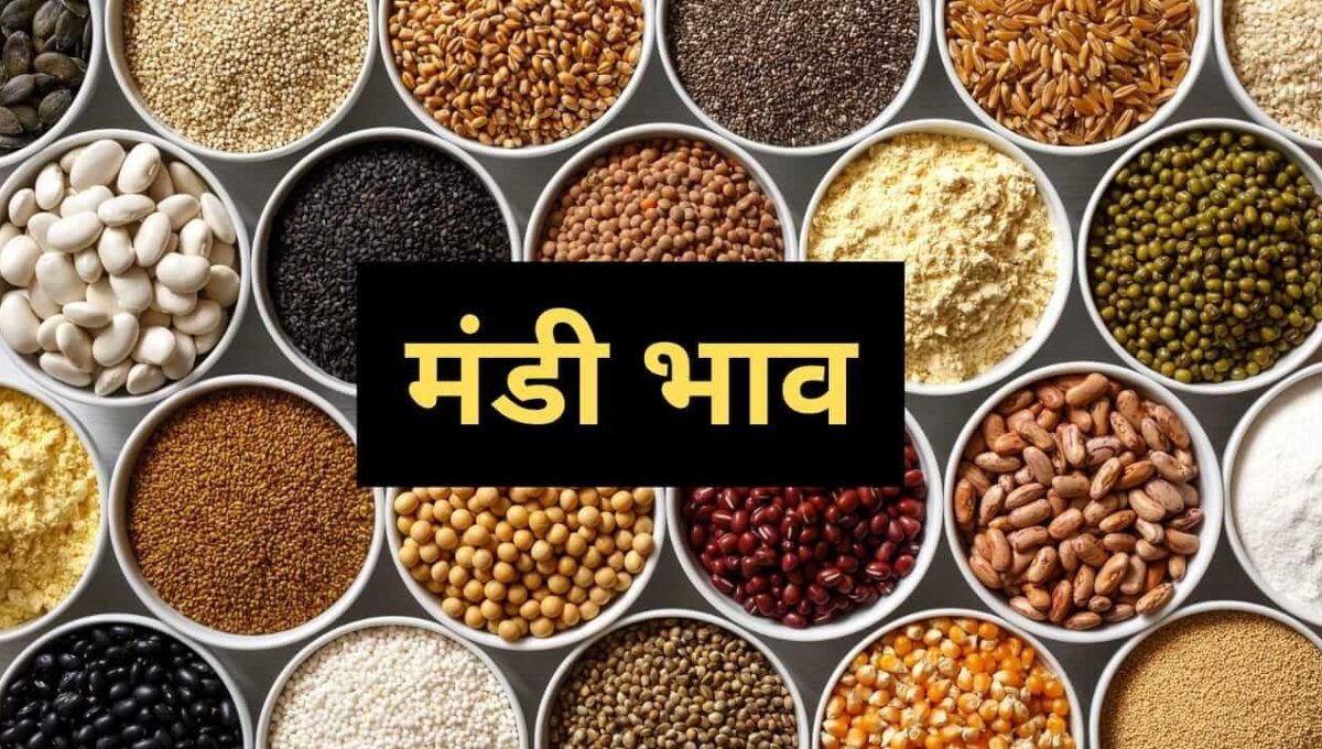 Mandi Price 10 October 2025: आज का ताज़ा मंडी भाव और किसानों की उम्मीद