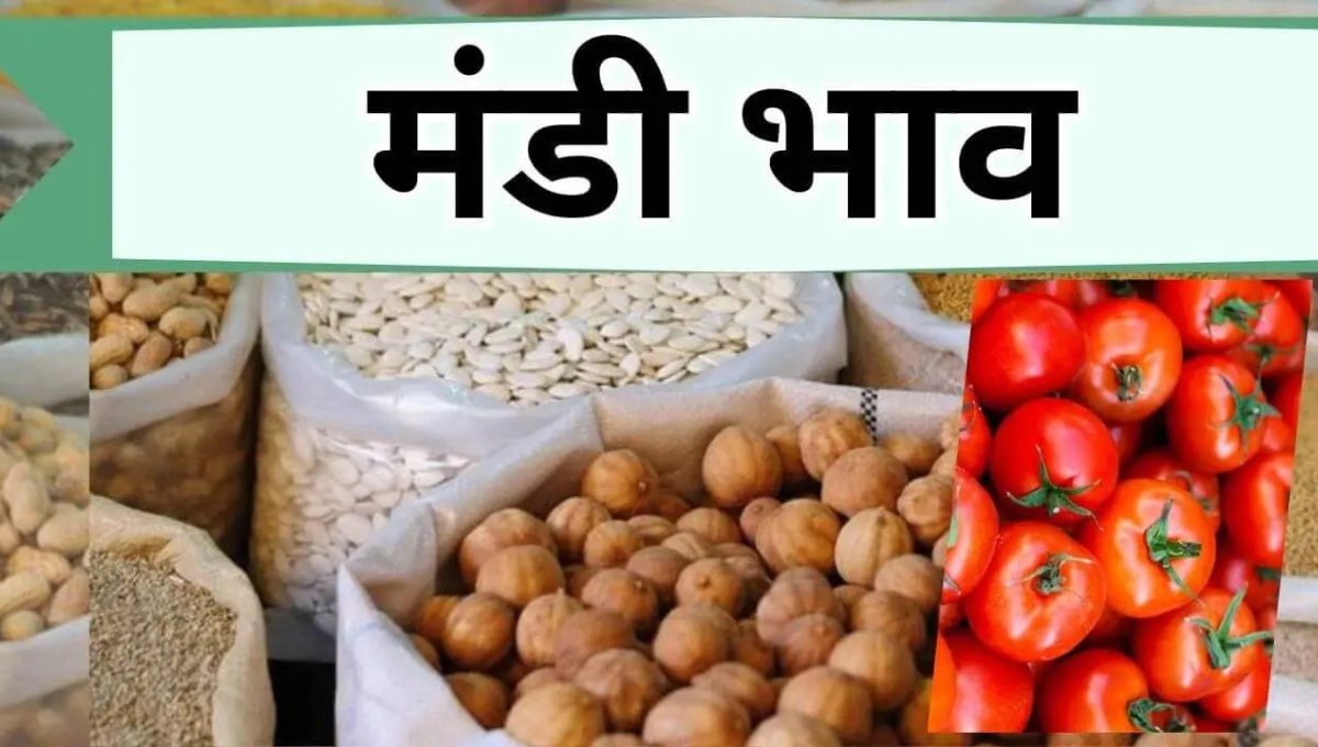 Mandi Price 10 October 2025: आज का ताज़ा मंडी भाव और किसानों की उम्मीद